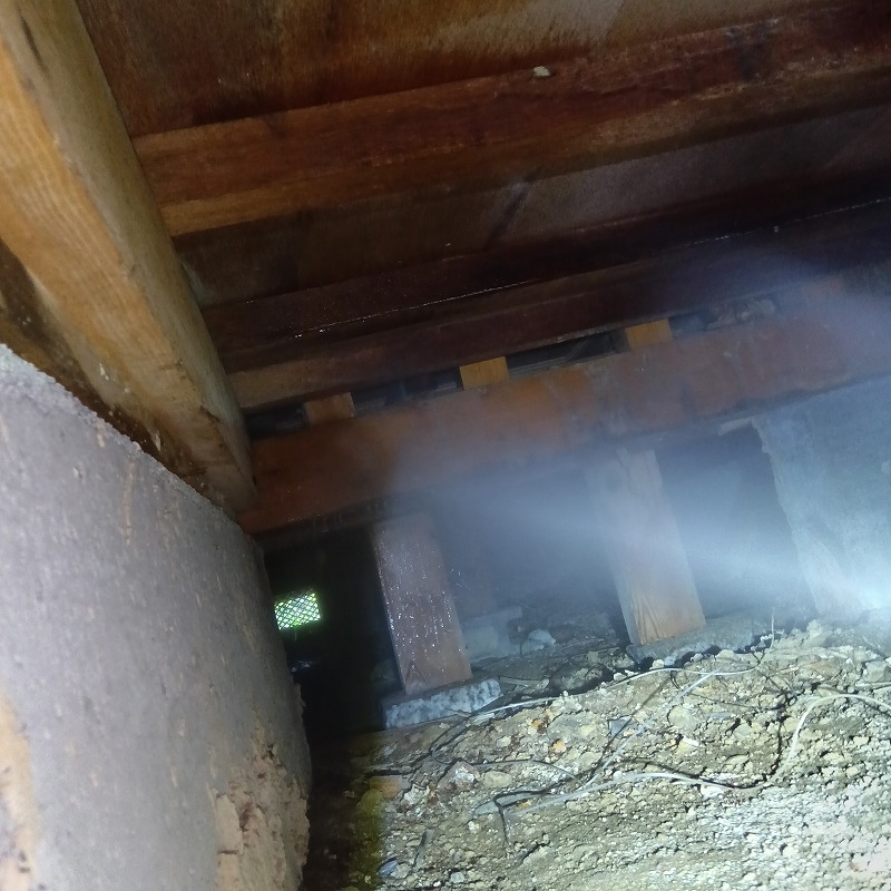 床下全体にシロアリ駆除剤を散布