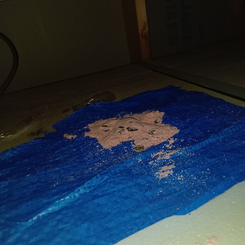 殺鼠剤を設置した様子