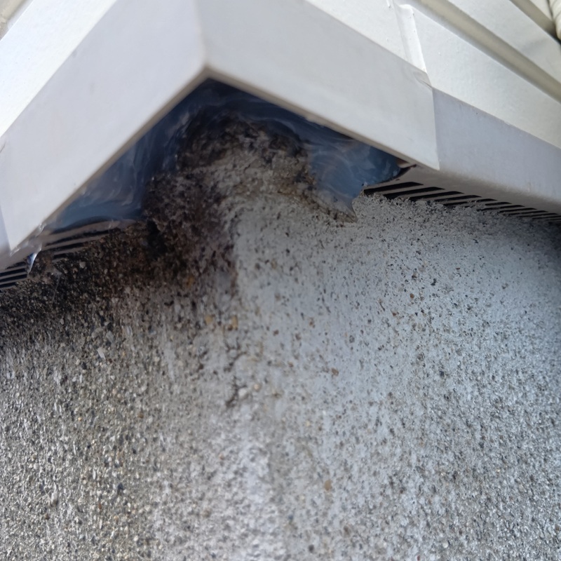 基礎部分のすき間をふさいだ様子