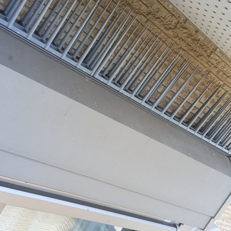 出窓上に設置した剣山