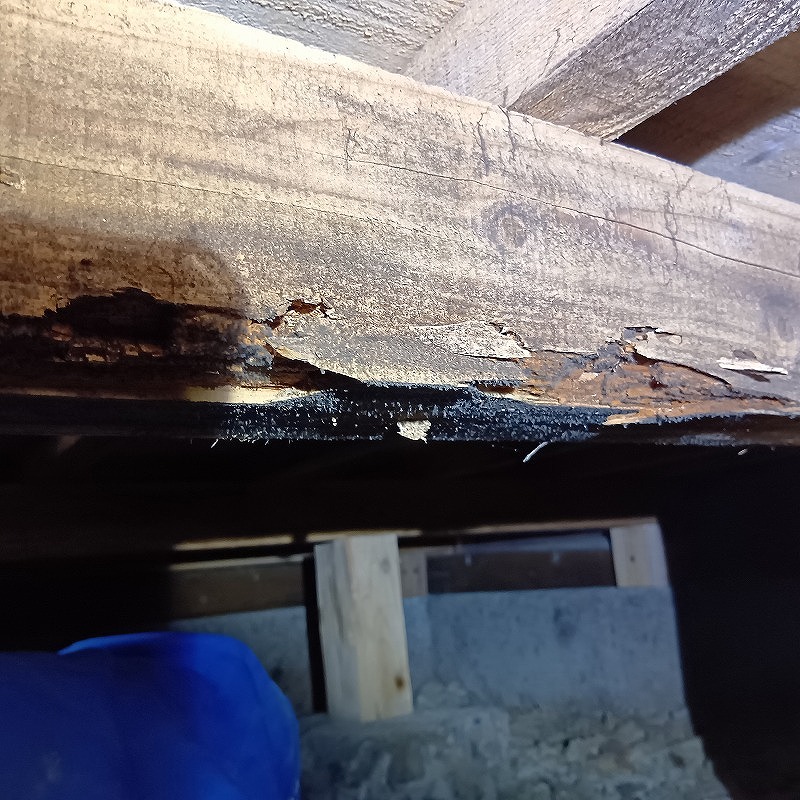築年数40年のシロアリ駆除の施工事例（福島県いわき市渡辺町中釜戸）