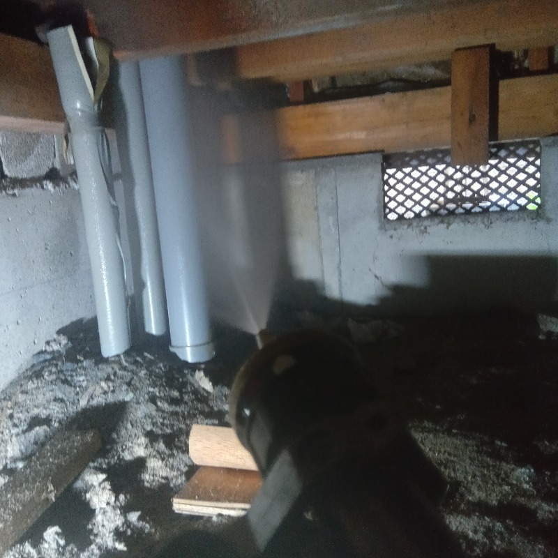 シロアリ予防の施工事例（埼玉県桶川市川田谷）