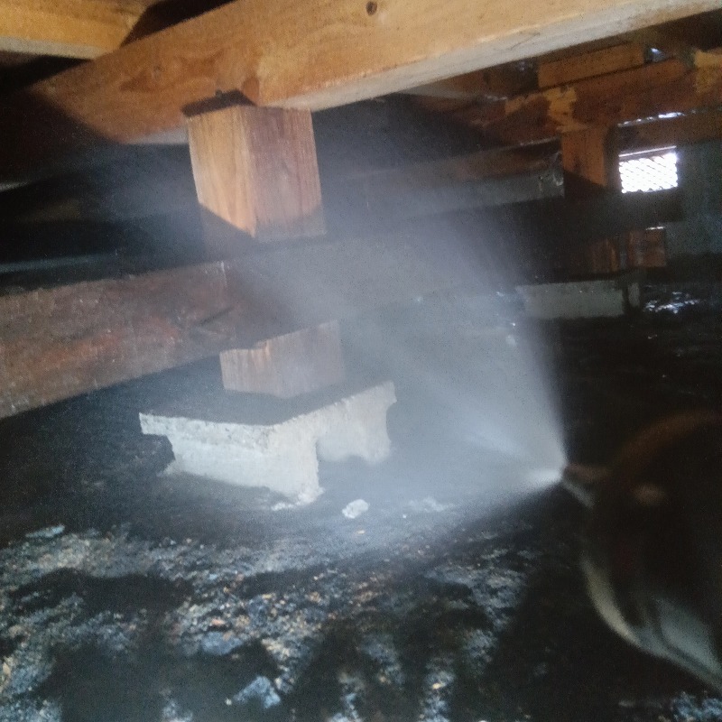 床下の木材にシロアリ駆除剤を散布