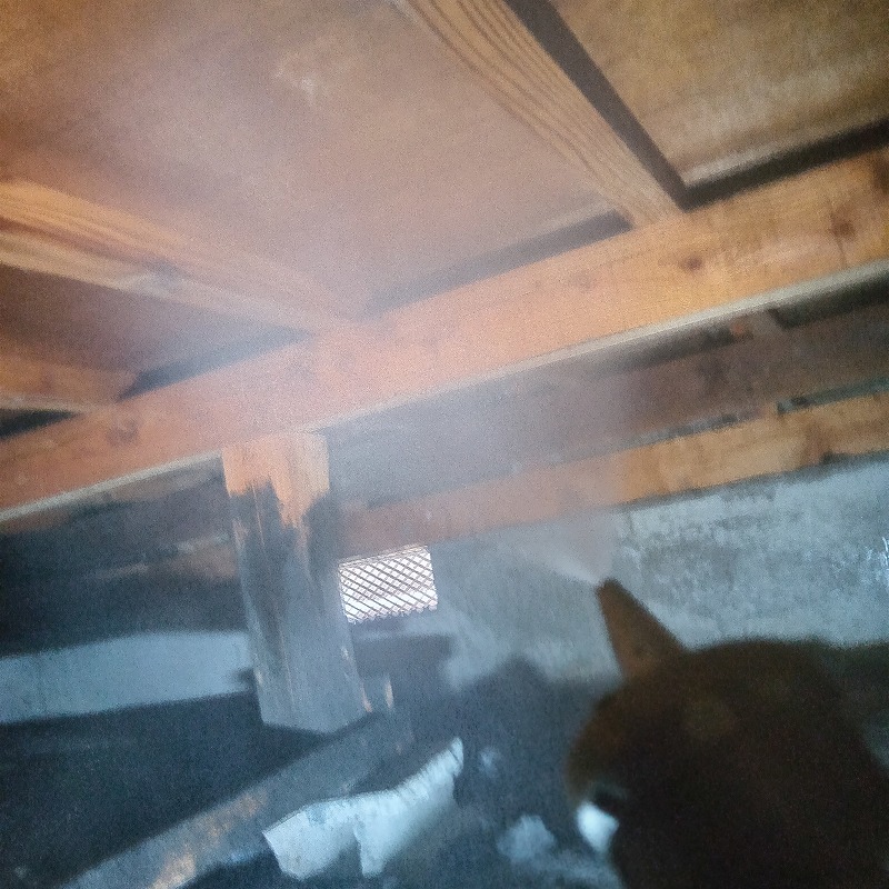 床下の土壌にシロアリ駆除剤を散布