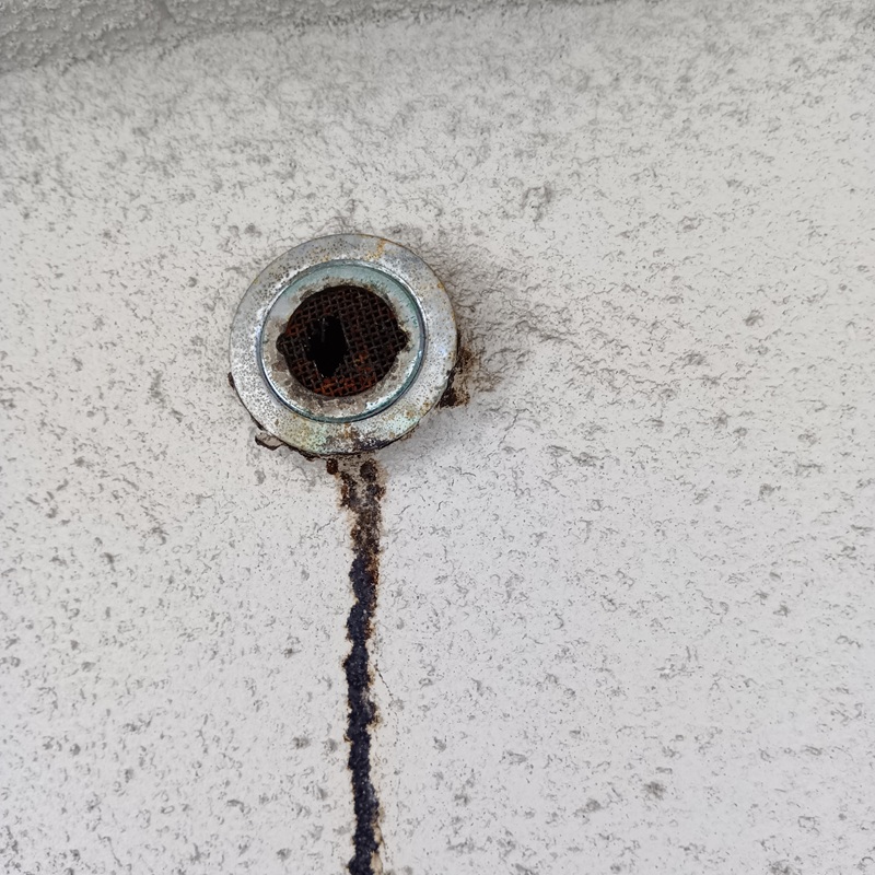 ネズミ駆除の施工事例（神奈川県横浜市磯子区洋光台）