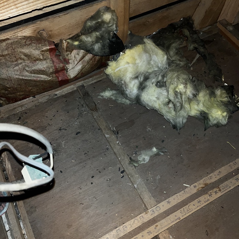 ネズミ駆除の施工事例（埼玉県吉川市南広島）