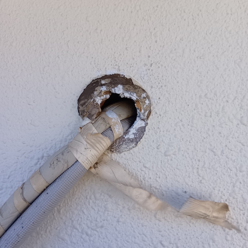 コウモリ駆除の施工事例（神奈川県横浜市泉区緑園）