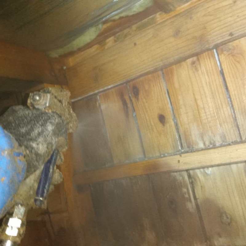 蟻道があった木部にシロアリ駆除剤を散布