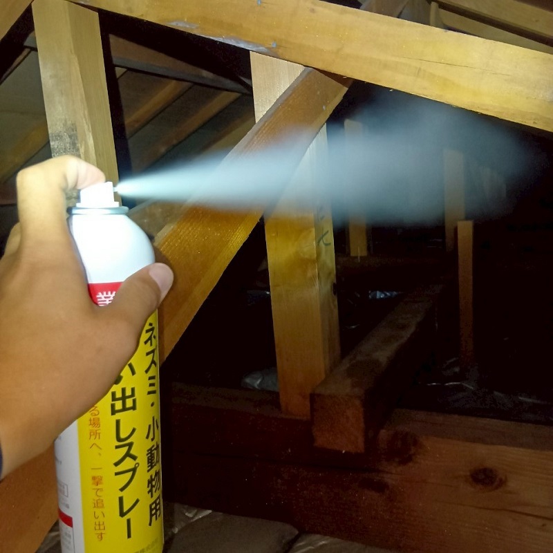 屋根裏に忌避剤を散布している様子