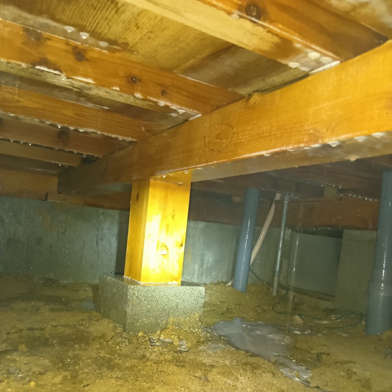 床下木部にシロアリ駆除剤を散布した様子