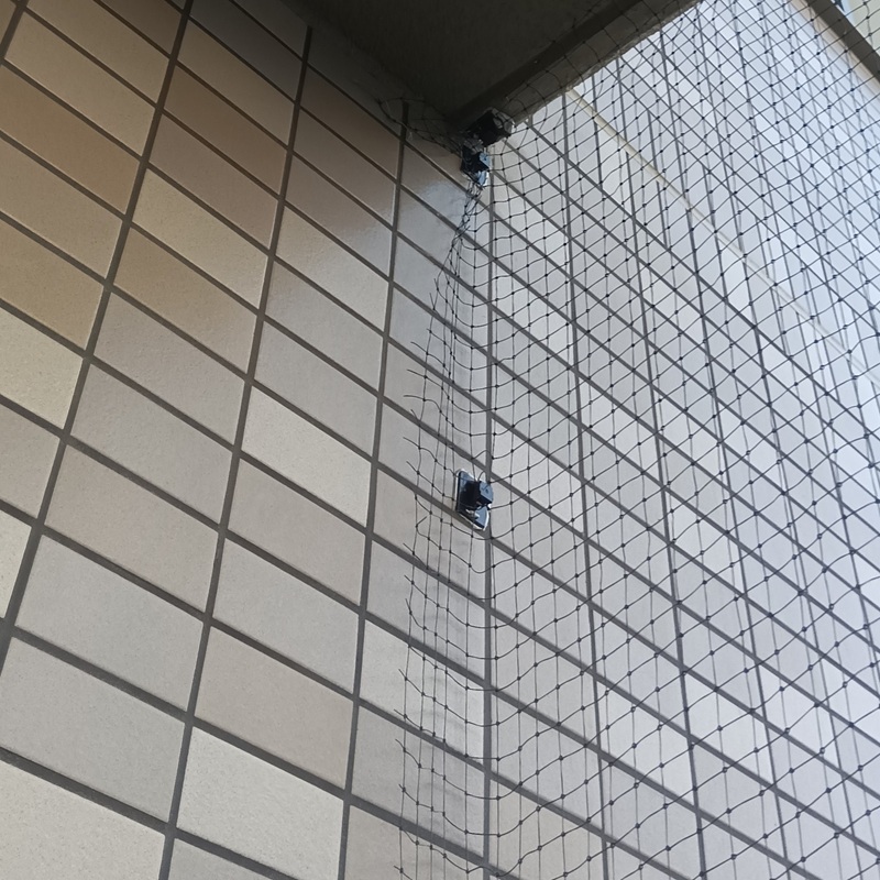 バルコニー側面の様子