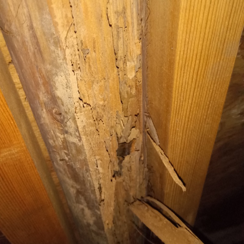 築年数70年のシロアリ駆除の施工事例（岐阜県可児市東帷子）