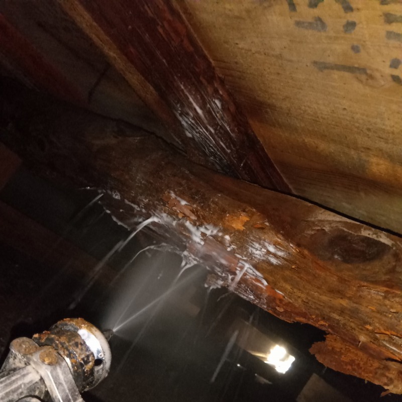 床下の木部に防蟻剤を散布