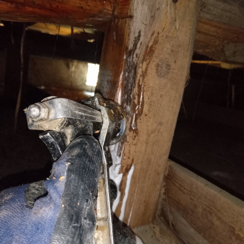 食害のある箇所に防蟻剤を注入