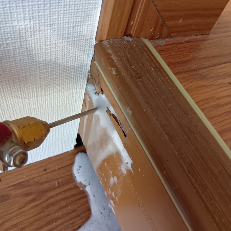 食害を受けた木部にシロアリ駆除剤を注入する様子