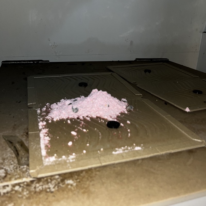 ラットサインの付近に粘着シートと殺鼠剤を設置