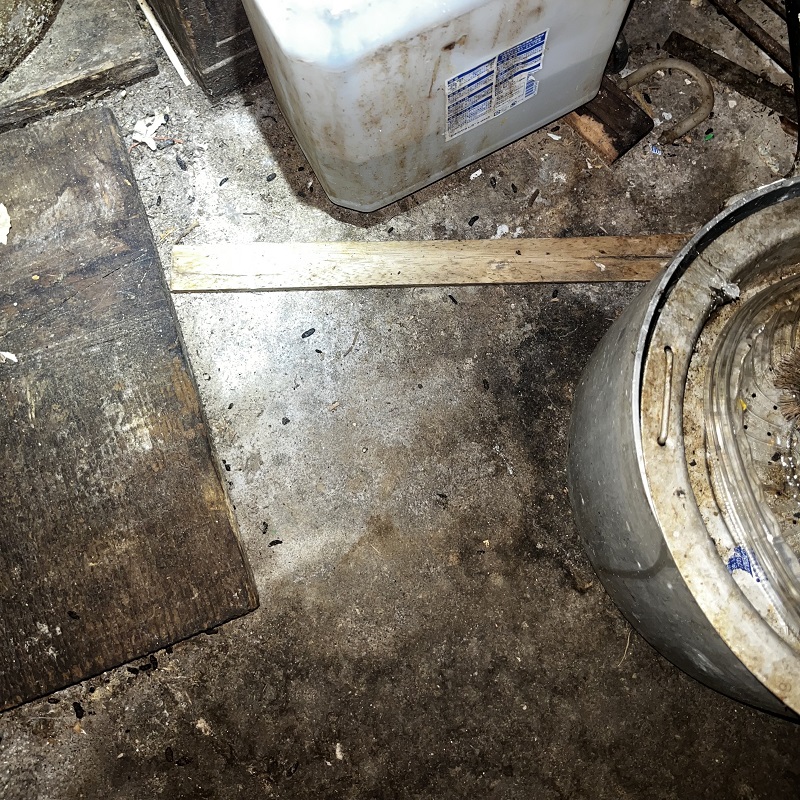 ネズミのフン害があった箇所