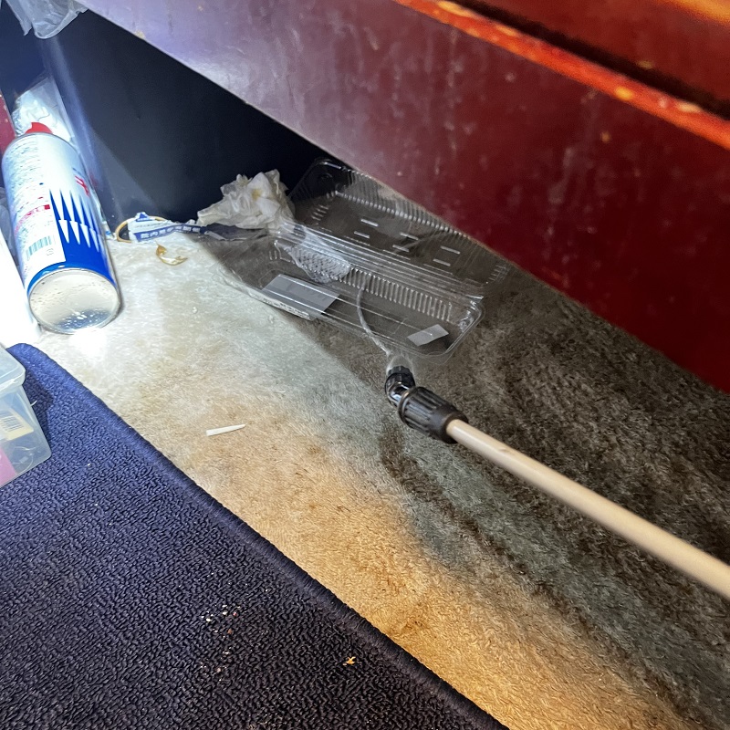 イエダニ対策の殺虫処理をする様子