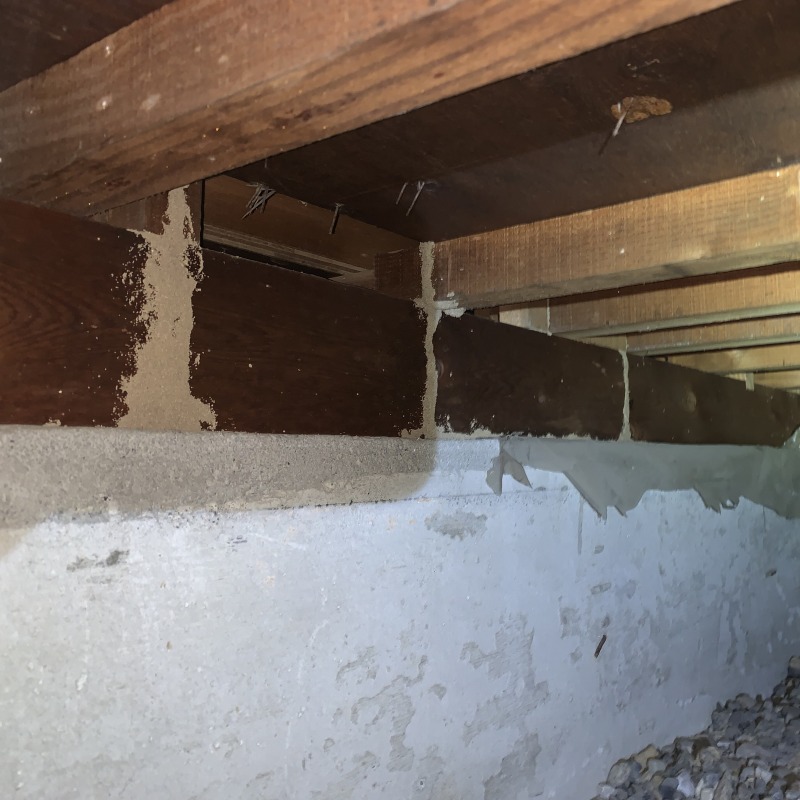 築年数30年のシロアリ駆除の施工事例（滋賀県犬上郡甲良町0）