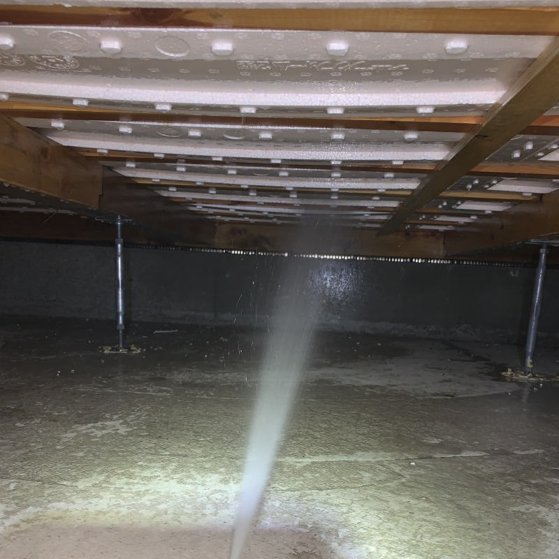 床下断熱材にもシロアリ駆除剤を散布