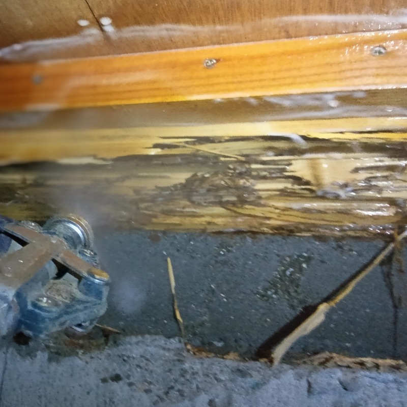 被害箇所にシロアリ駆除剤を散布