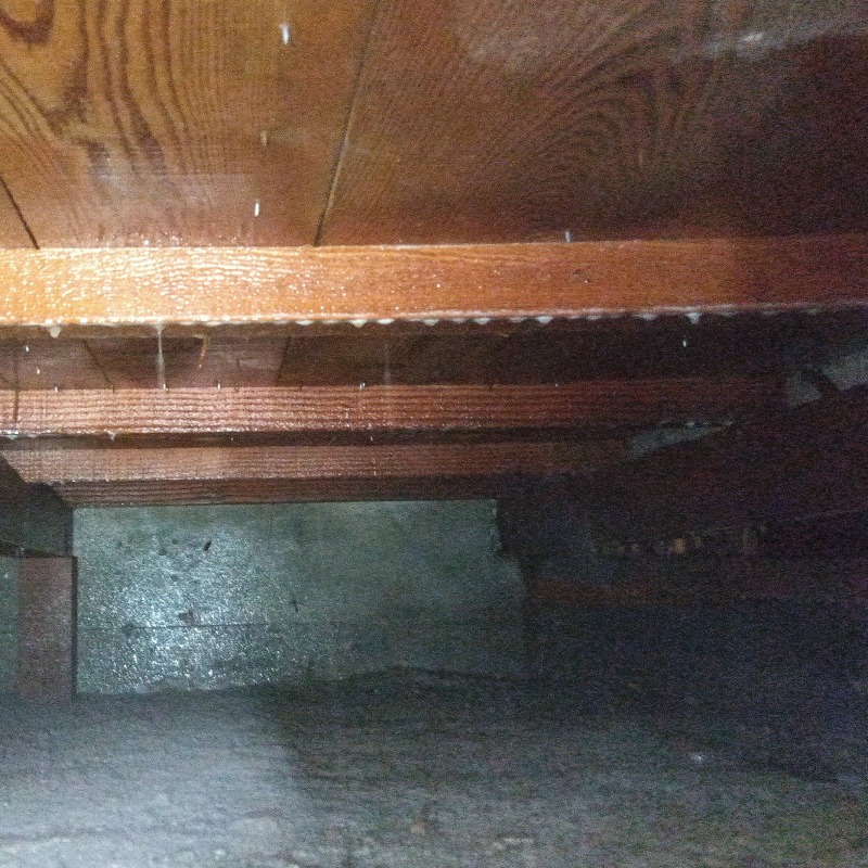 木部全体にシロアリ駆除剤を散布