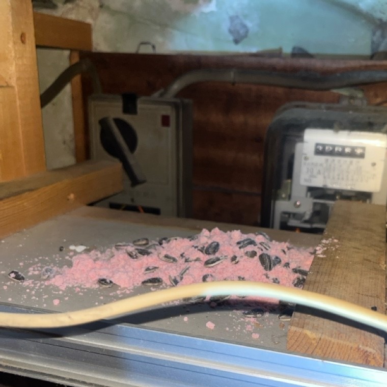 各階の天井裏に殺鼠剤を設置