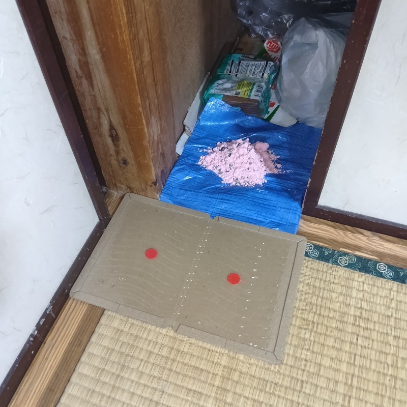 押入れ前に殺鼠剤と粘着シートを設置