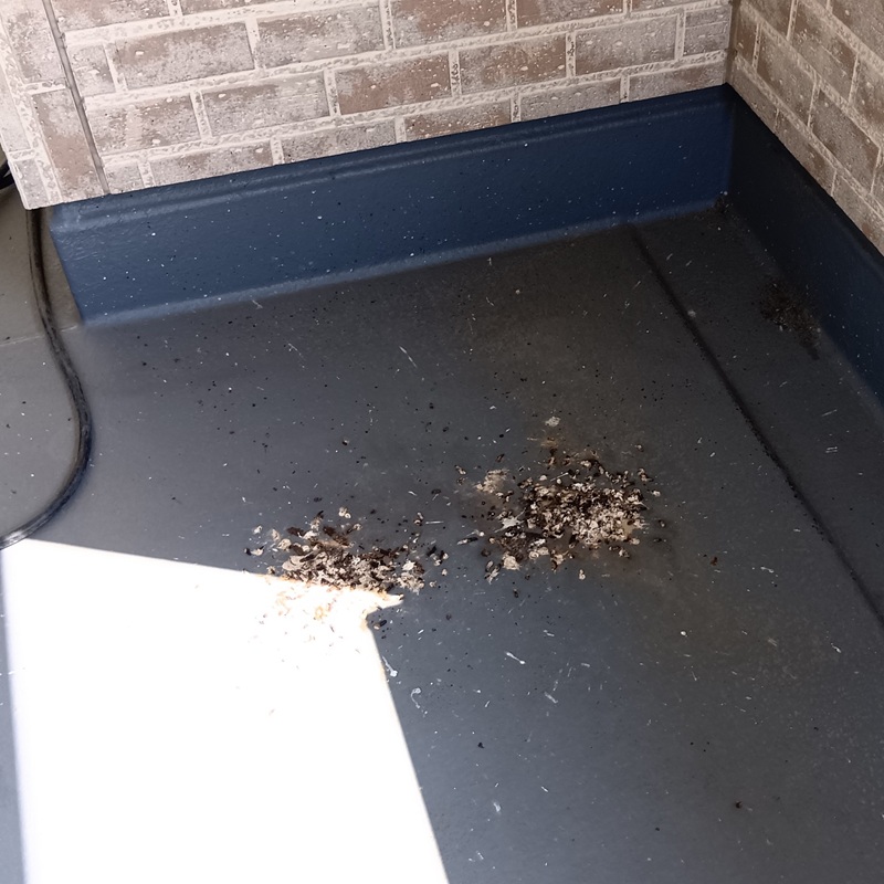 ツバメ対策の施工事例（群馬県渋川市中郷）