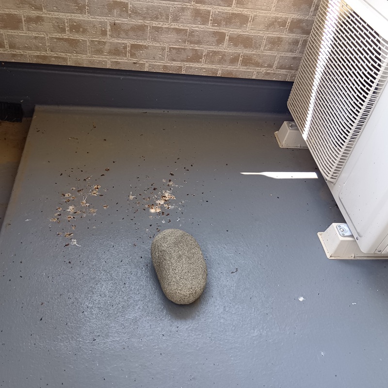 ベランダのフン害状況