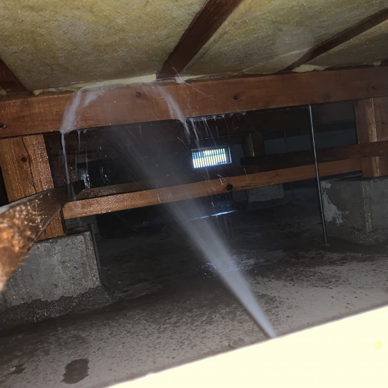 床下の木材にシロアリ駆除剤を散布する様子