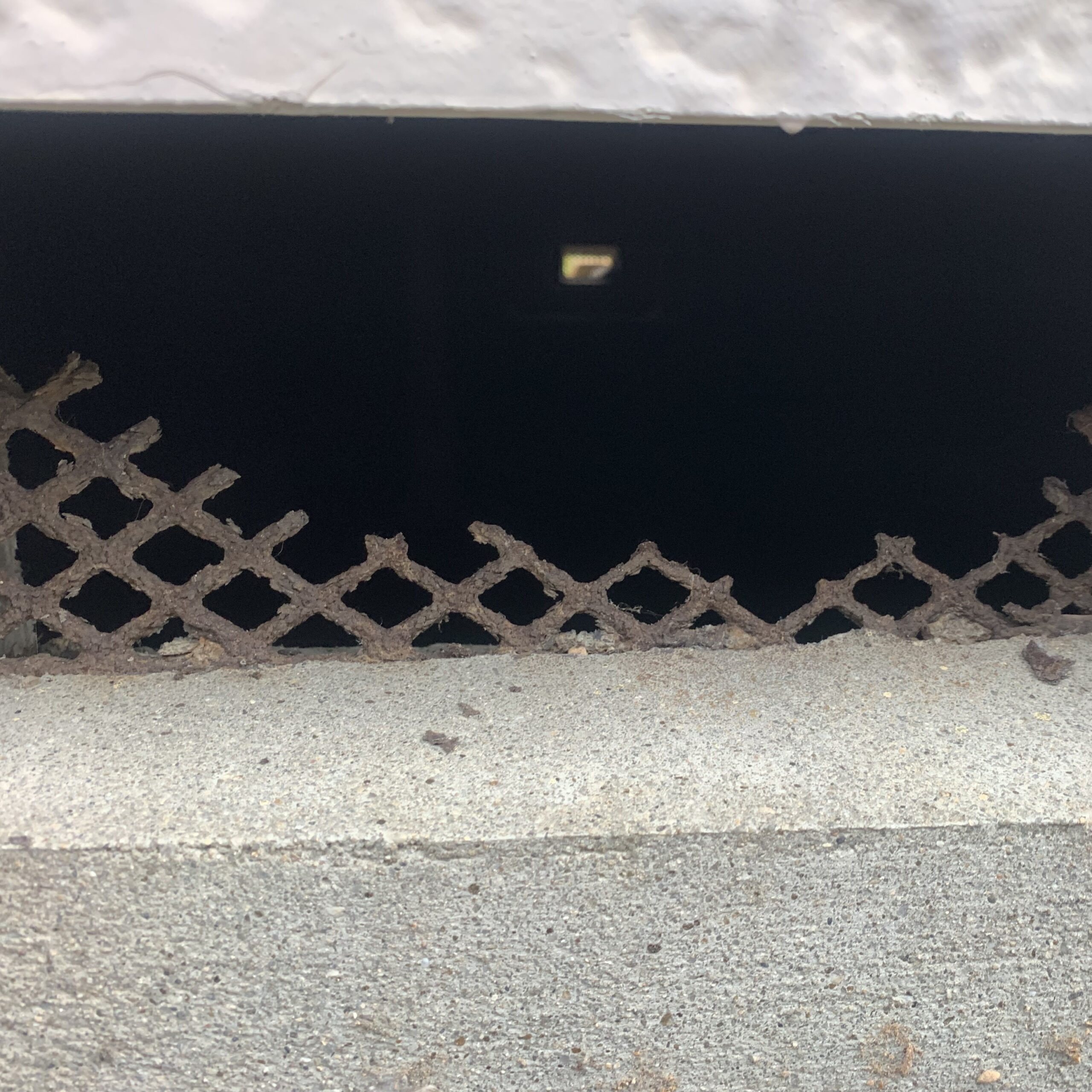 ネズミ駆除の施工事例（愛知県豊橋市神野新田町）