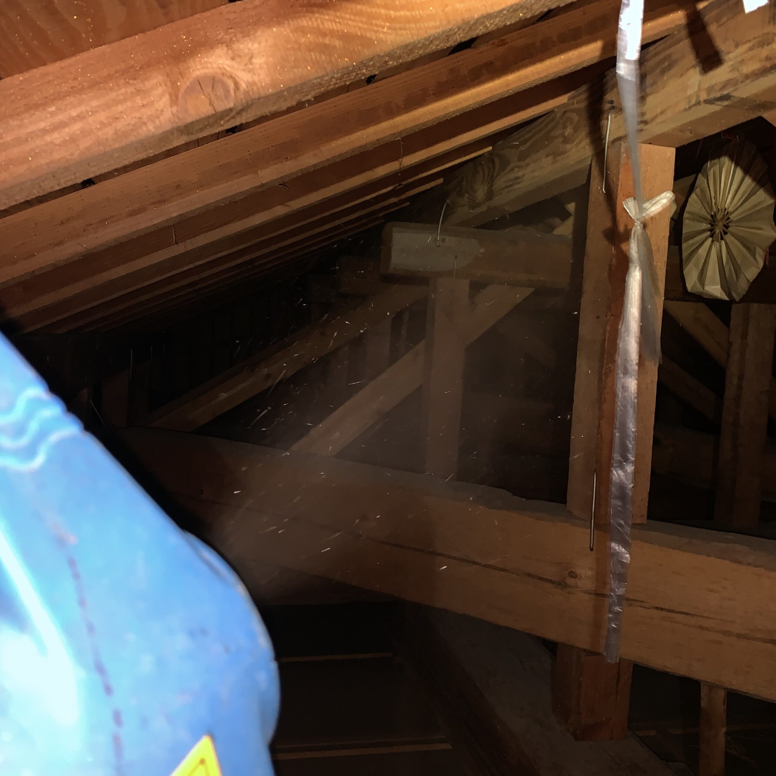 屋根裏に忌避剤を散布