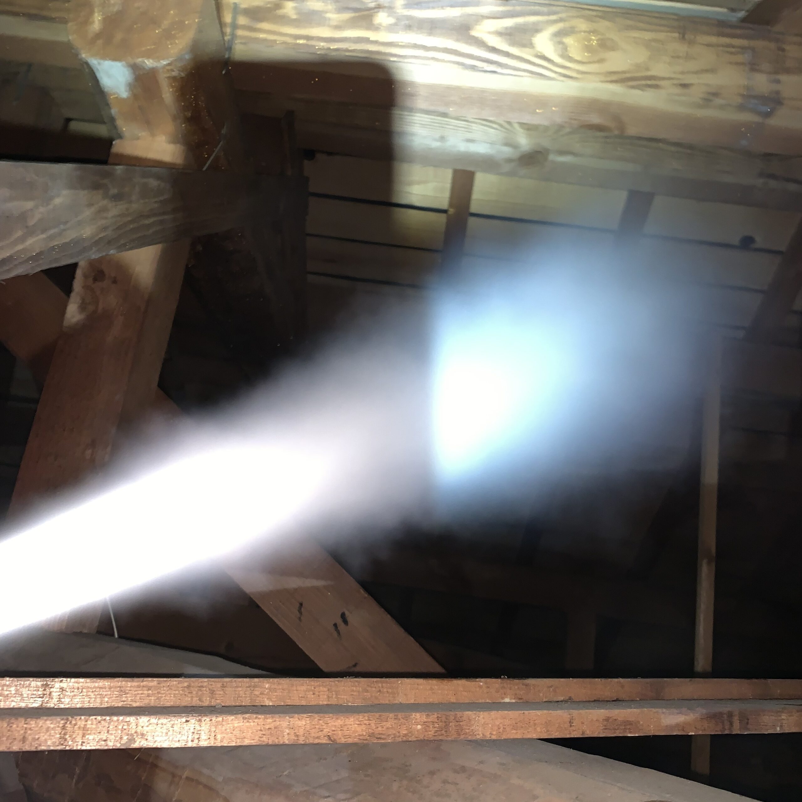 屋根裏に殺虫・消毒剤を散布