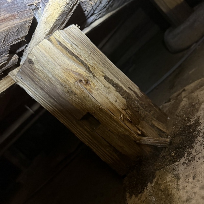 築年数150年のシロアリ駆除の施工事例（岐阜県中津川市下野）