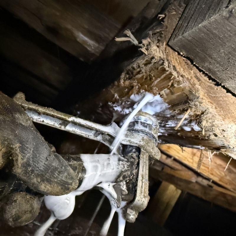 食害を受けた木材にシロアリ駆除剤を注入