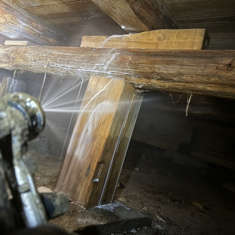 床下全体の木部にシロアリ駆除剤を散布