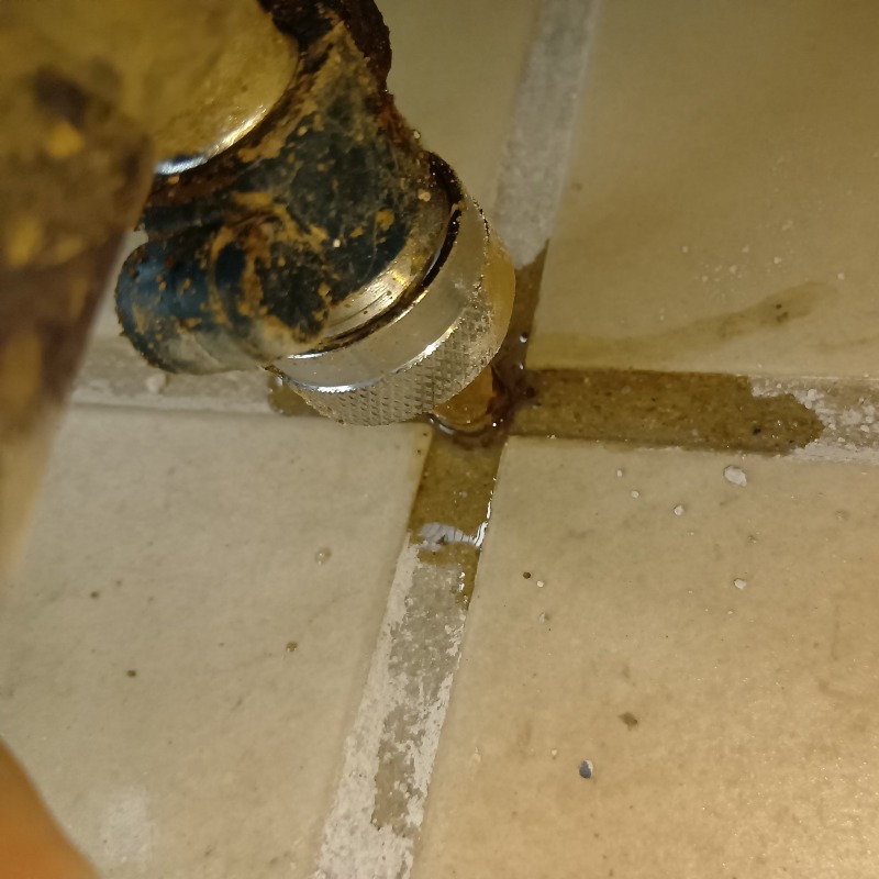 タイルの目地から駆除剤を注入する様子