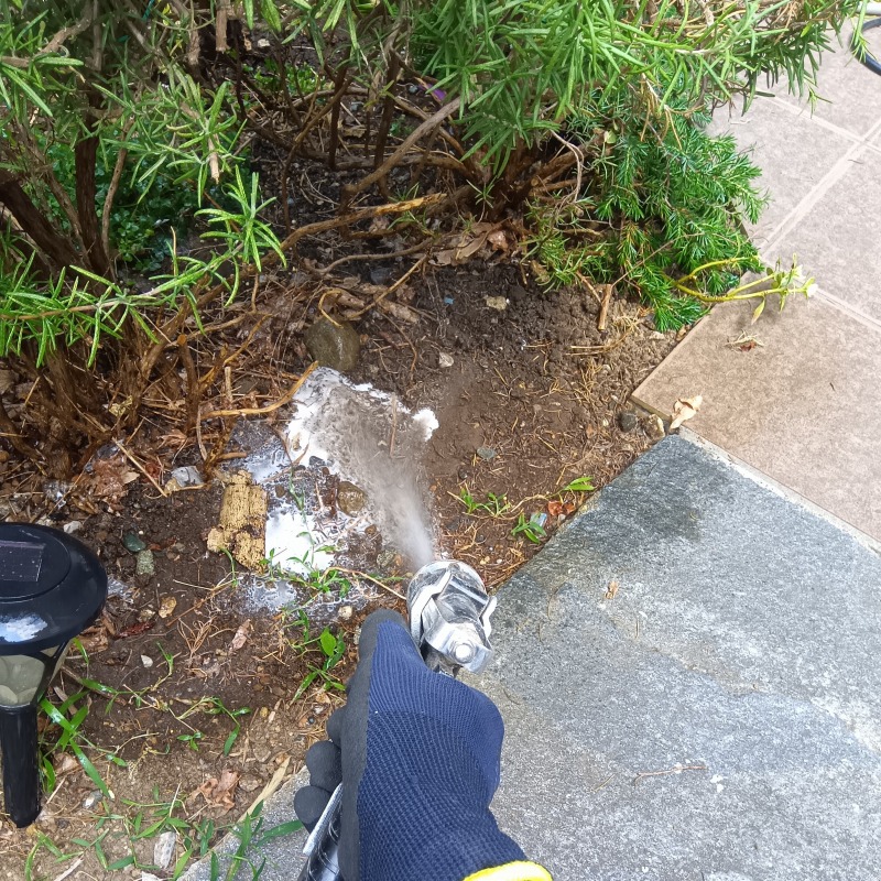 庭の土壌にシロアリ駆除剤を散布