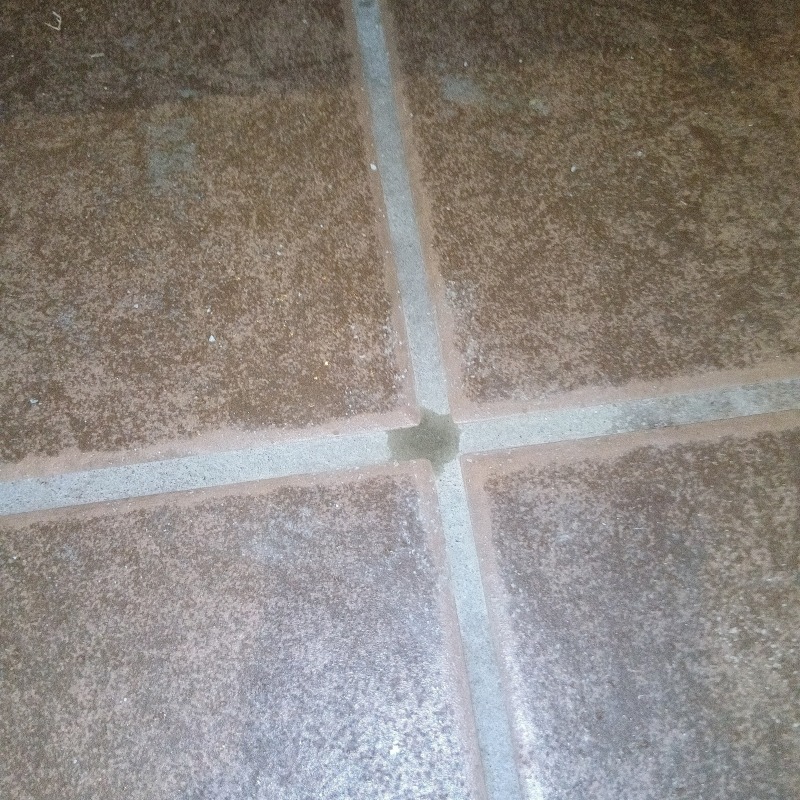 穴をふさいだ様子