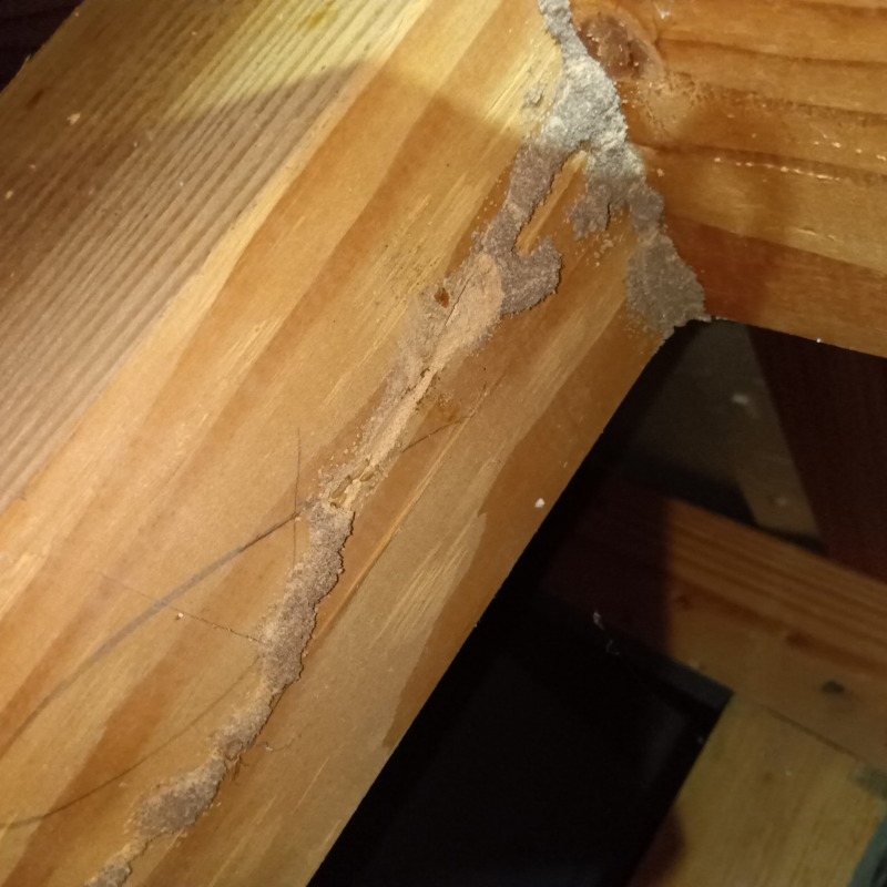 築年数20年のシロアリ駆除の施工事例（山形県山形市飯田）