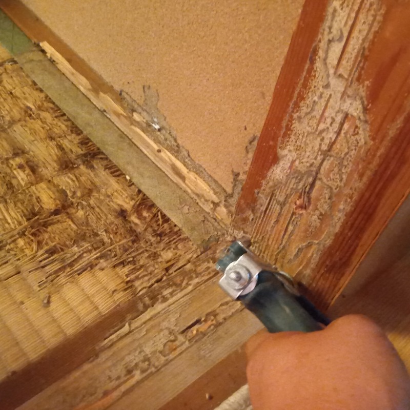 築年数30年のシロアリ駆除の施工事例（岡山県倉敷市）