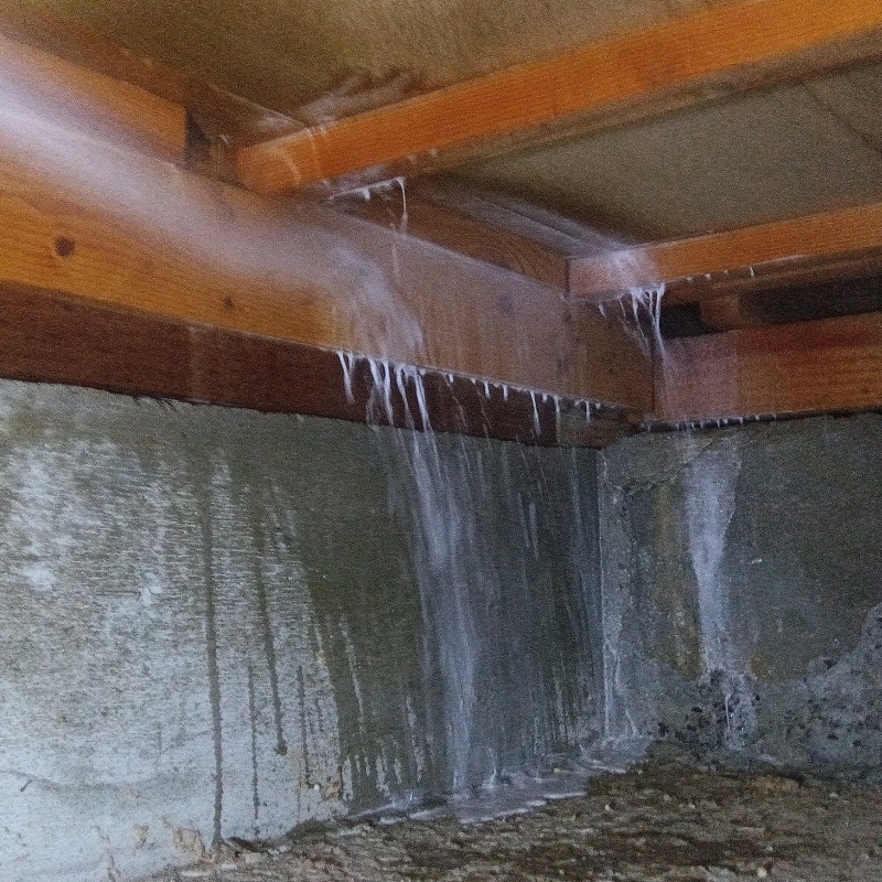 床下の木部にシロアリ駆除剤を吹き付ける様子