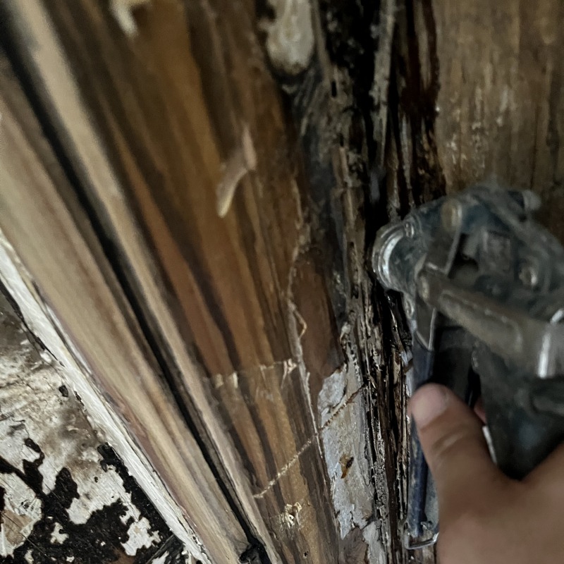 築年数23年のシロアリ駆除の施工事例（東京都世田谷区北烏山）