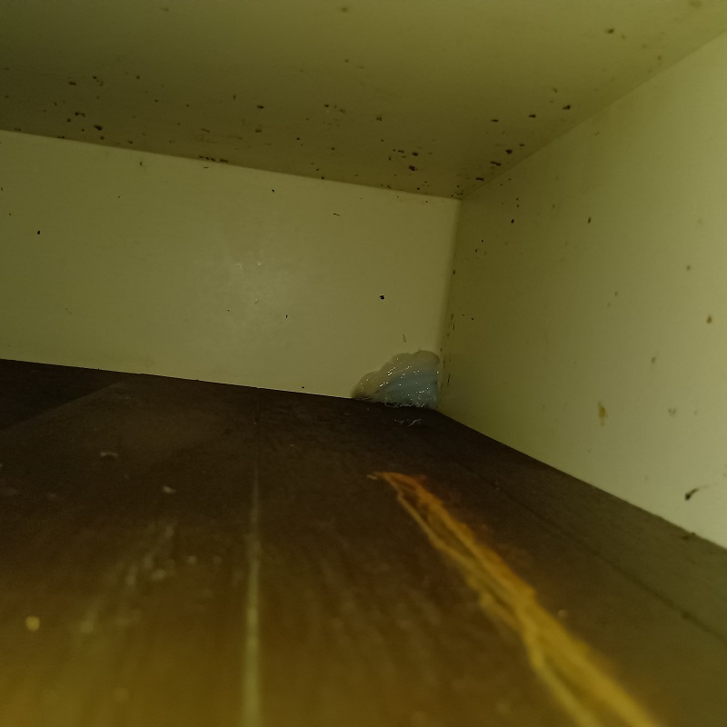 床下から侵入口になっていたところを封鎖