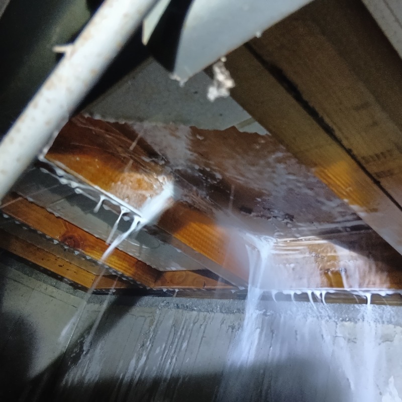 床下の木部に防蟻剤を散布する様子