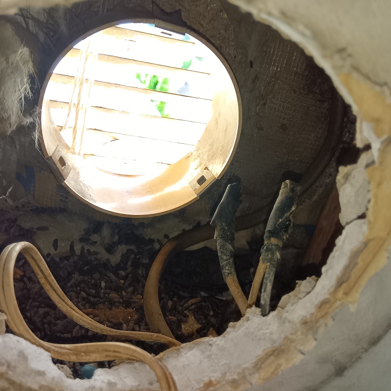 換気扇内のフン害状況