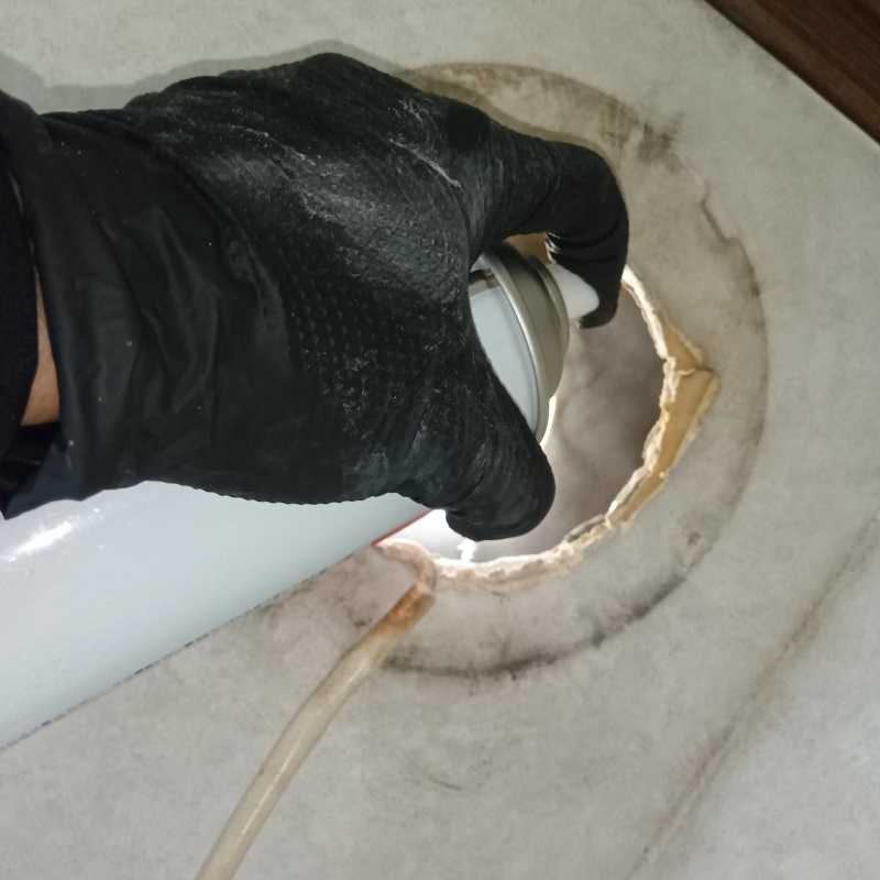 コウモリの住処を殺虫処理