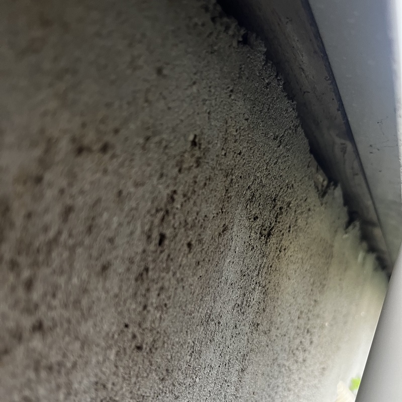 ネズミ駆除の施工事例（埼玉県川口市戸塚南）