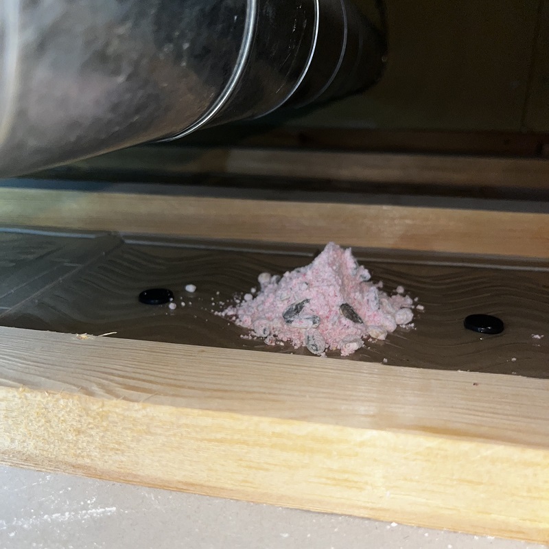 粘着シートと殺鼠剤を設置した様子